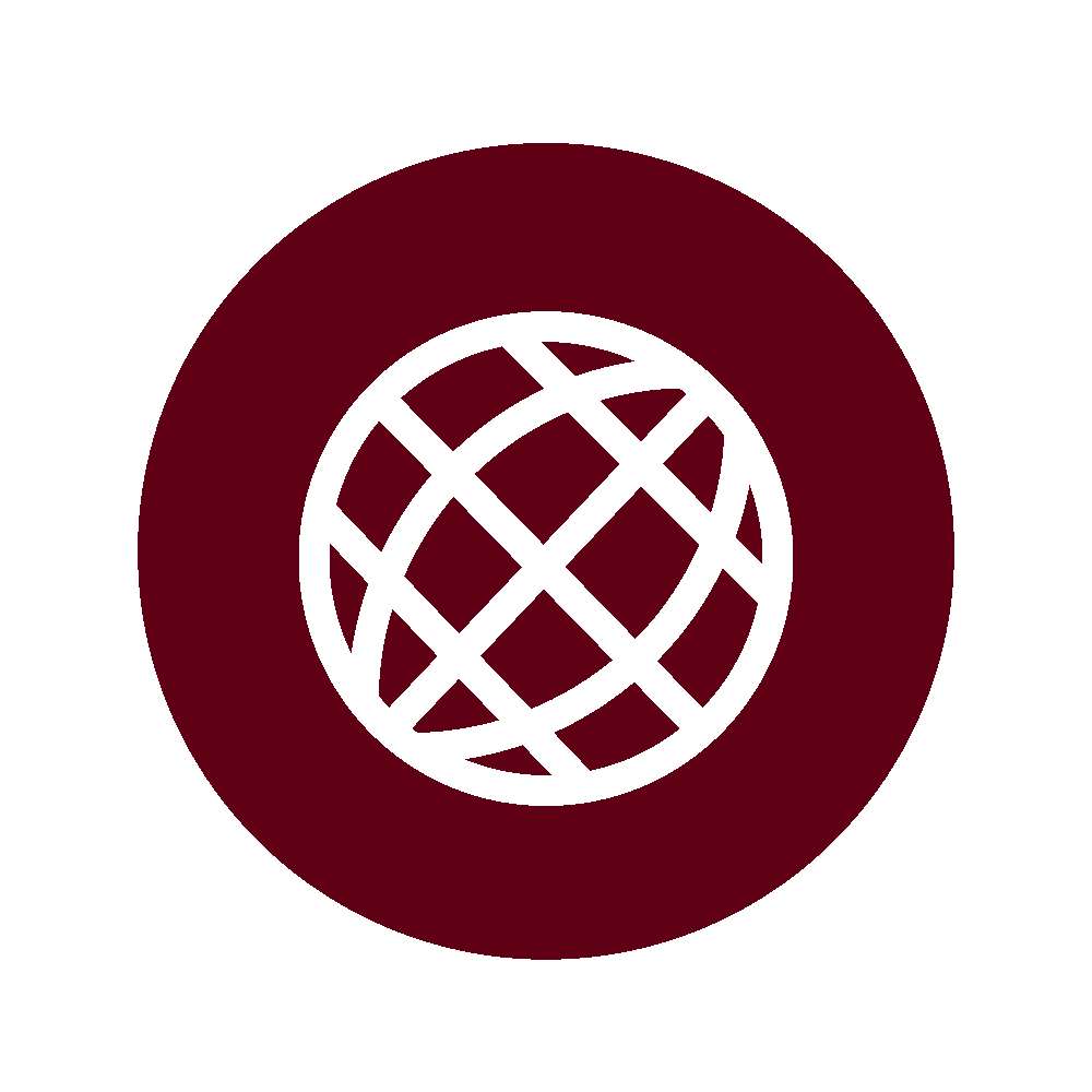 Global competence icon