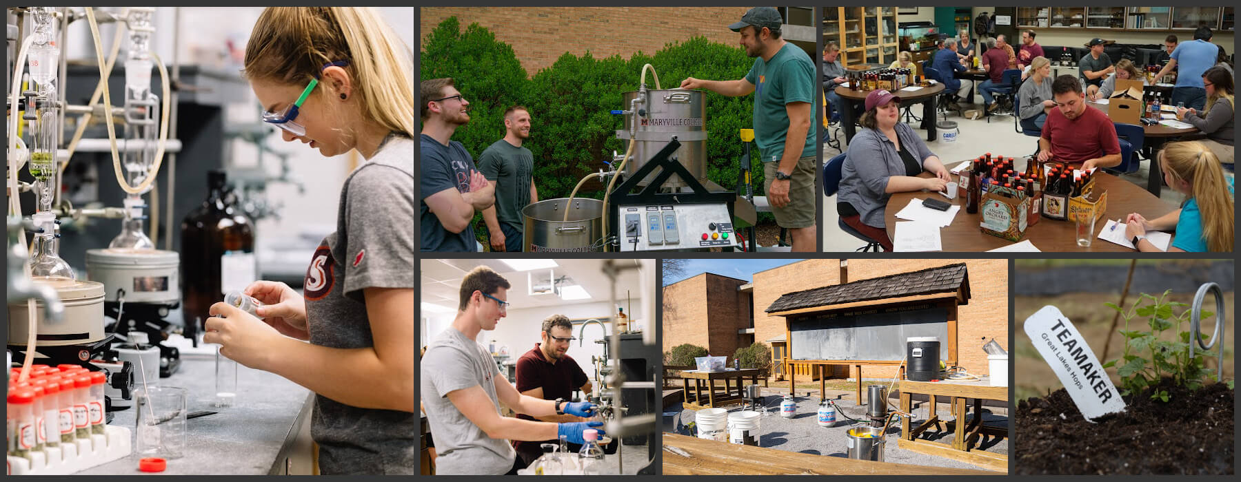 Collage of images from fermentation science classes