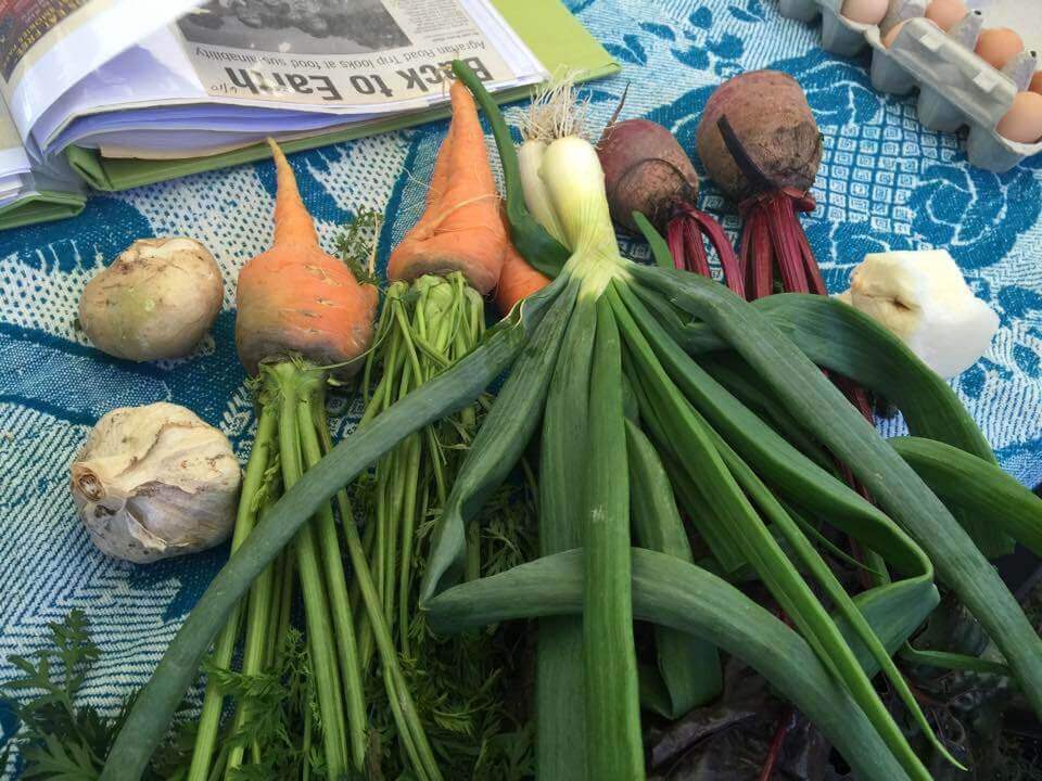 vegetables grown in the College garden