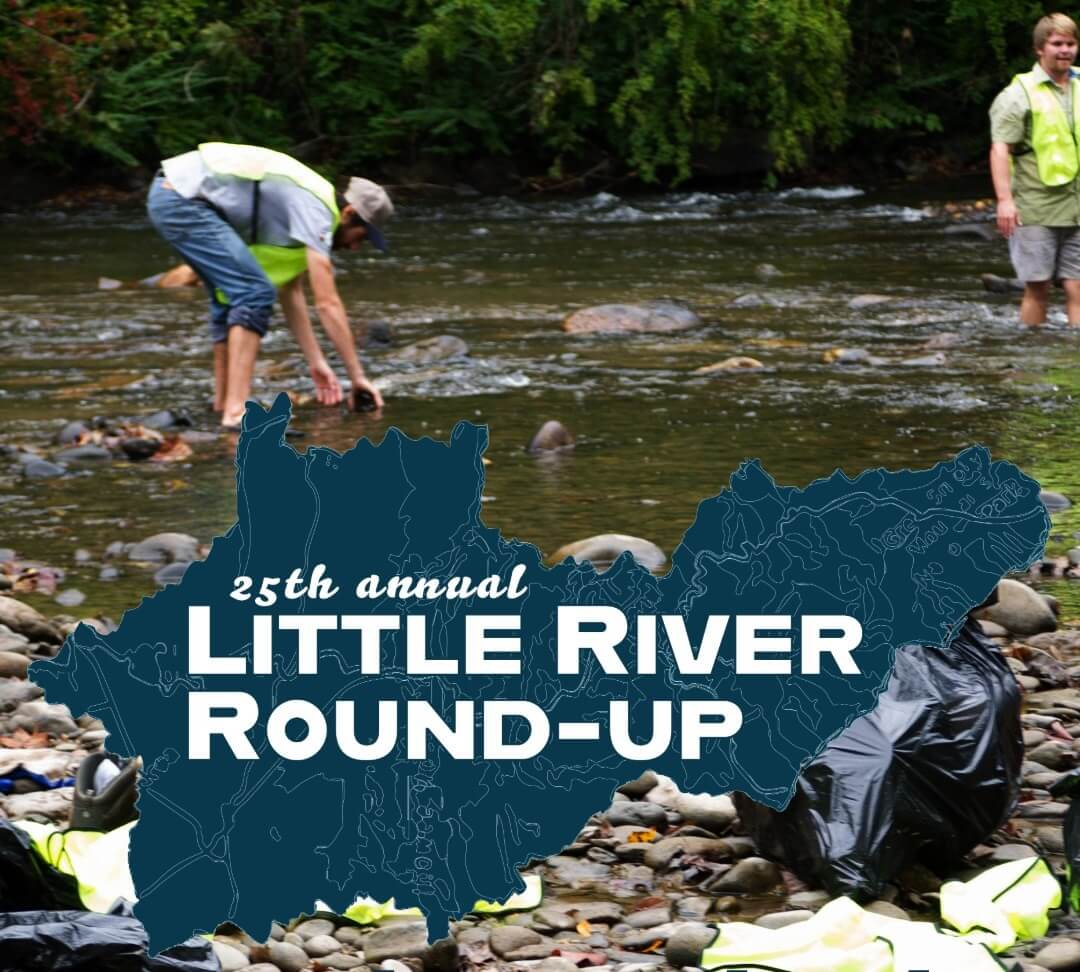 Photo of Litte river round up