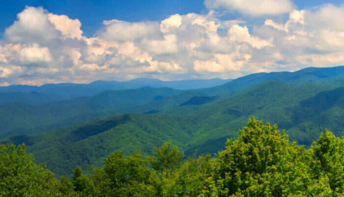View of the Smoky Mountains National Park from the side of the road.