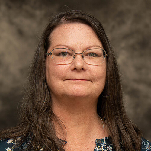 Professor of History