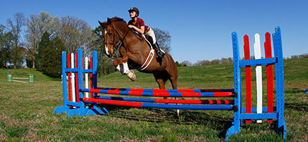 Photo of equestrian team member on a horse