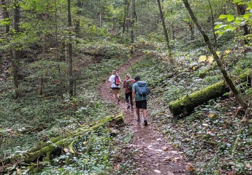 Students hiking in the woods