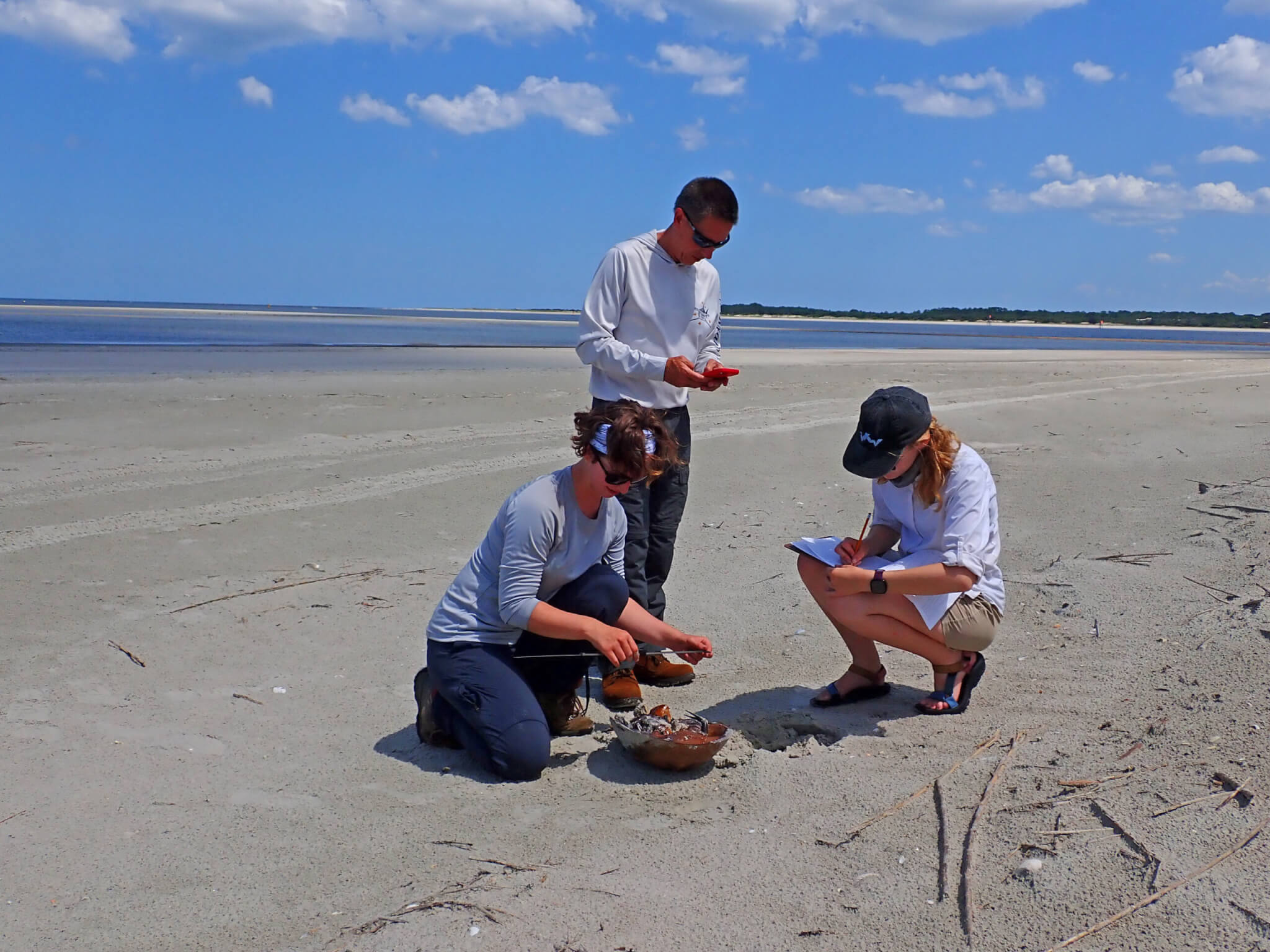 Photo of students and professor on beach