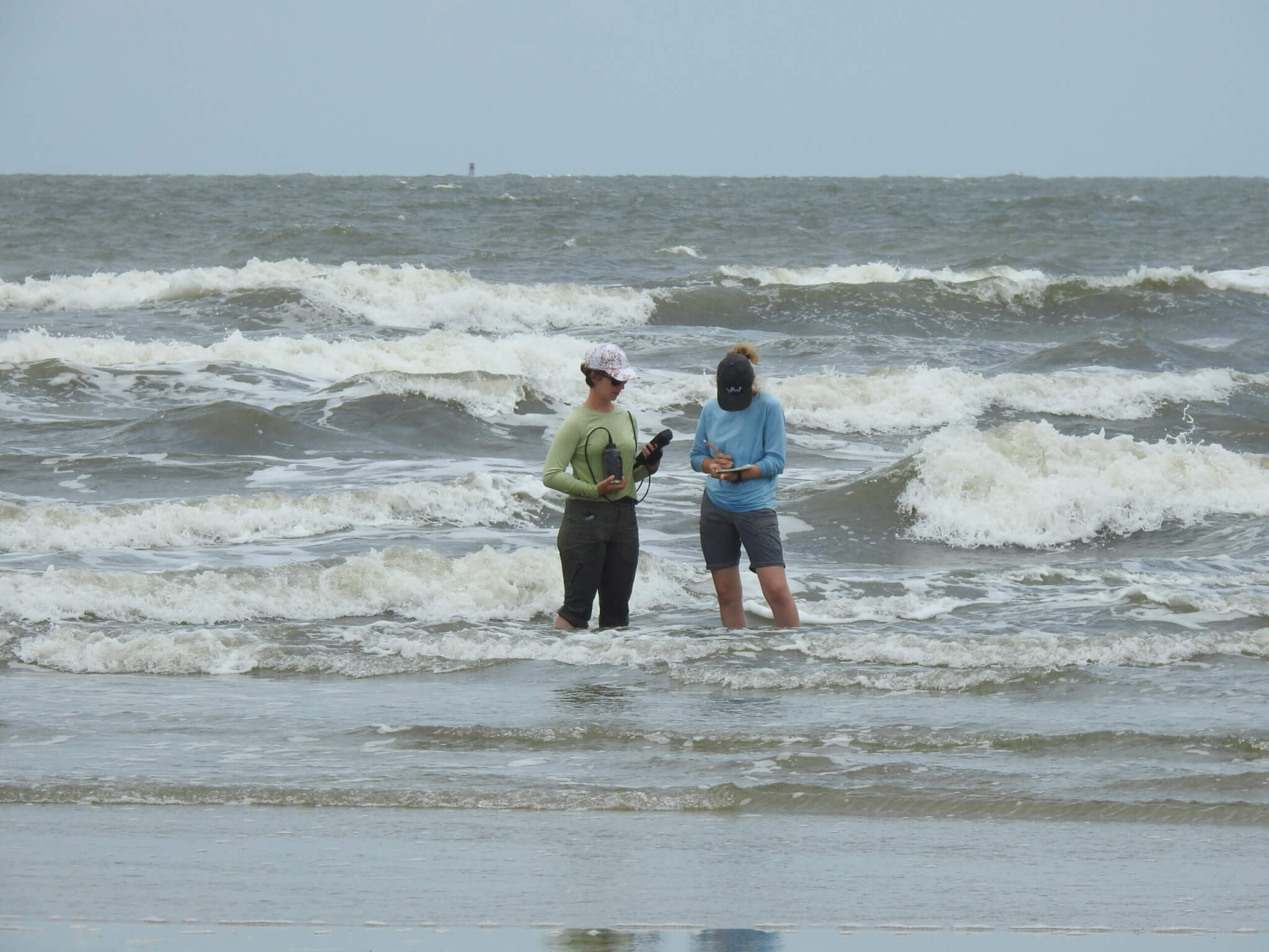 Photo of students in water at Cumberland Island National Seashore