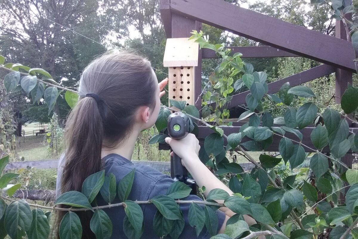 Photo of bee house installation