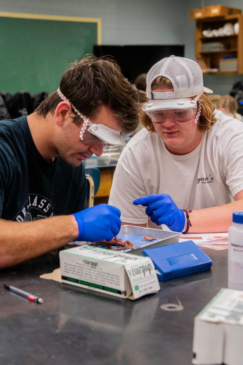 Two male students working to cut up a starfish