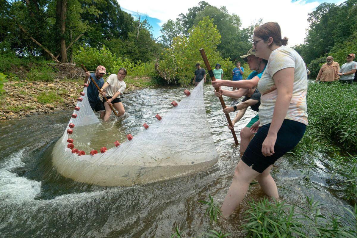 Photo of Maryville College students seine fishing
