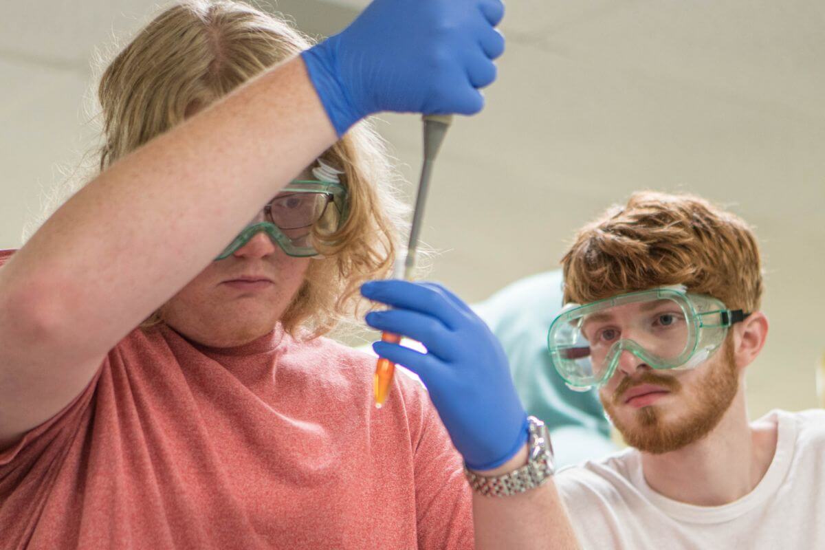 Photo of two S3 students doing lab work