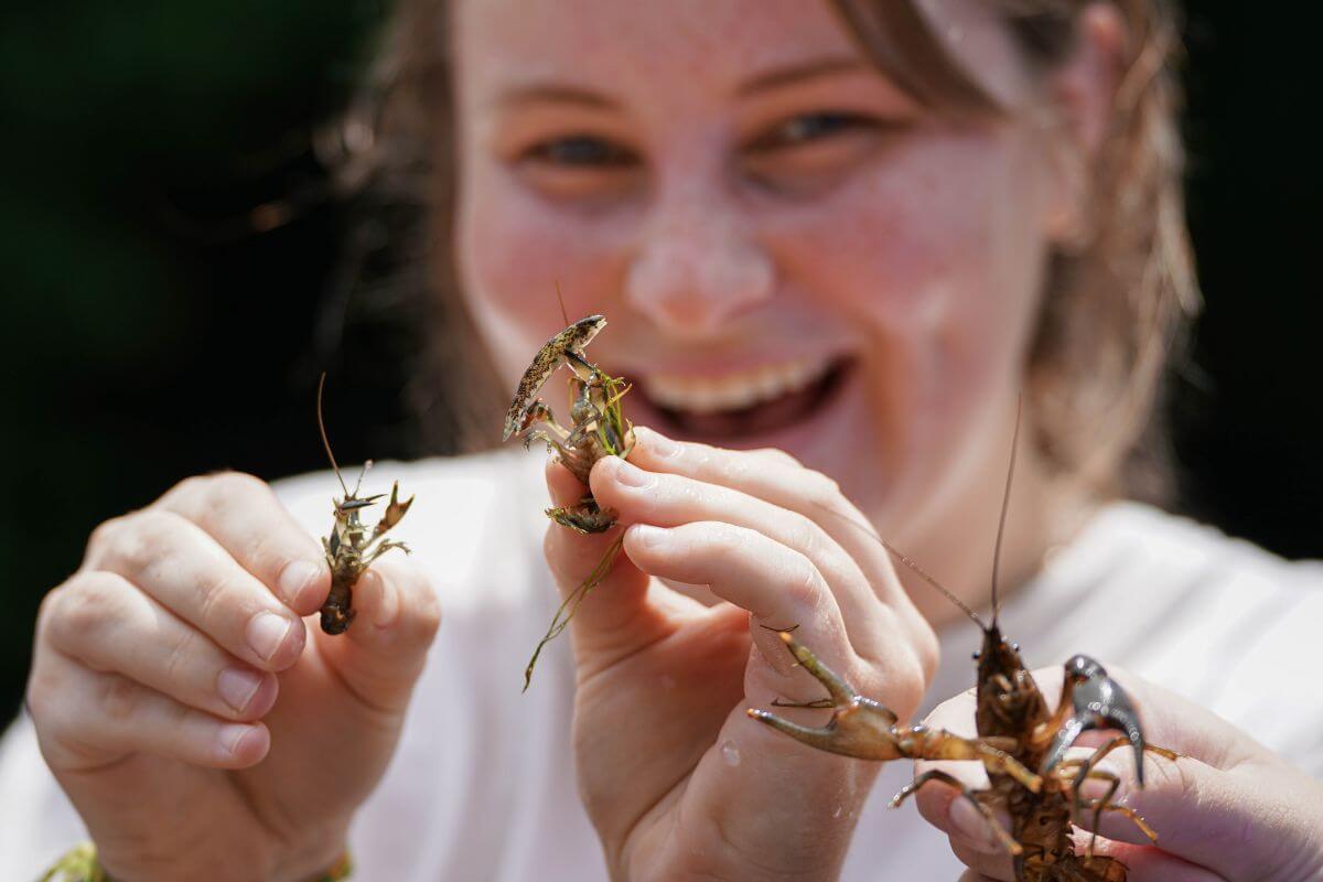 Photo of an MC student holding crawdads and smiling