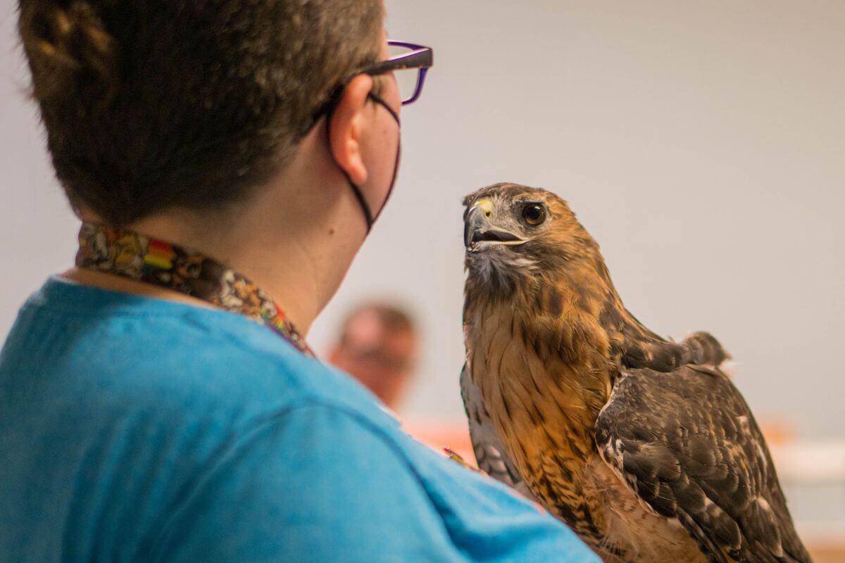 Photo of Dr. Danielle Lincoln holding a red-tailed hawk