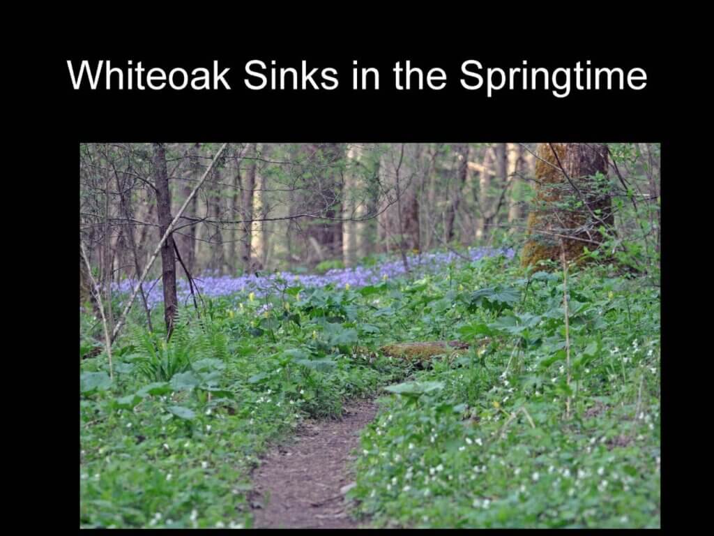 Slide two of Kim Trevathan's Powerpoint presentation made during his Baccalaureate address.