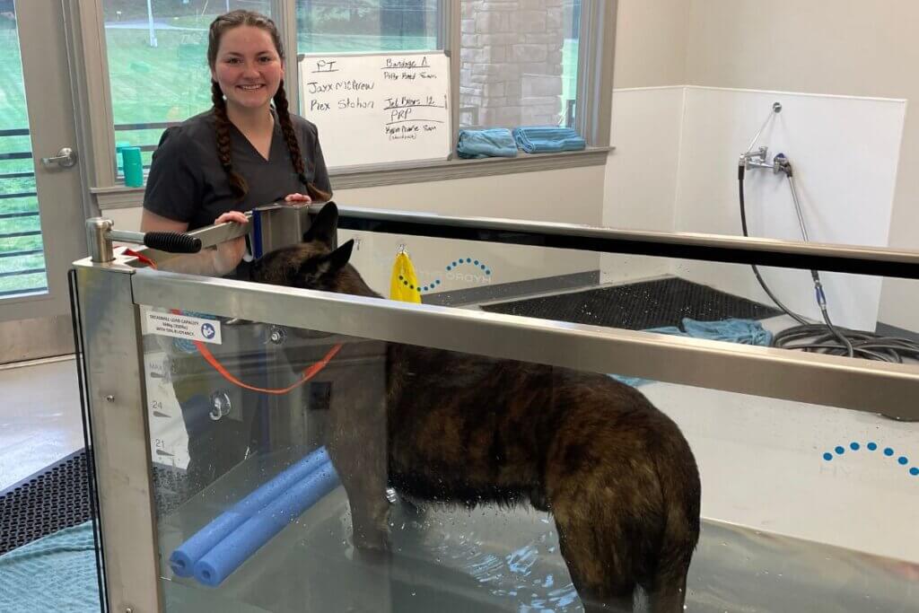 Photo of MC student Meadow Van Skyhawk washing a dog