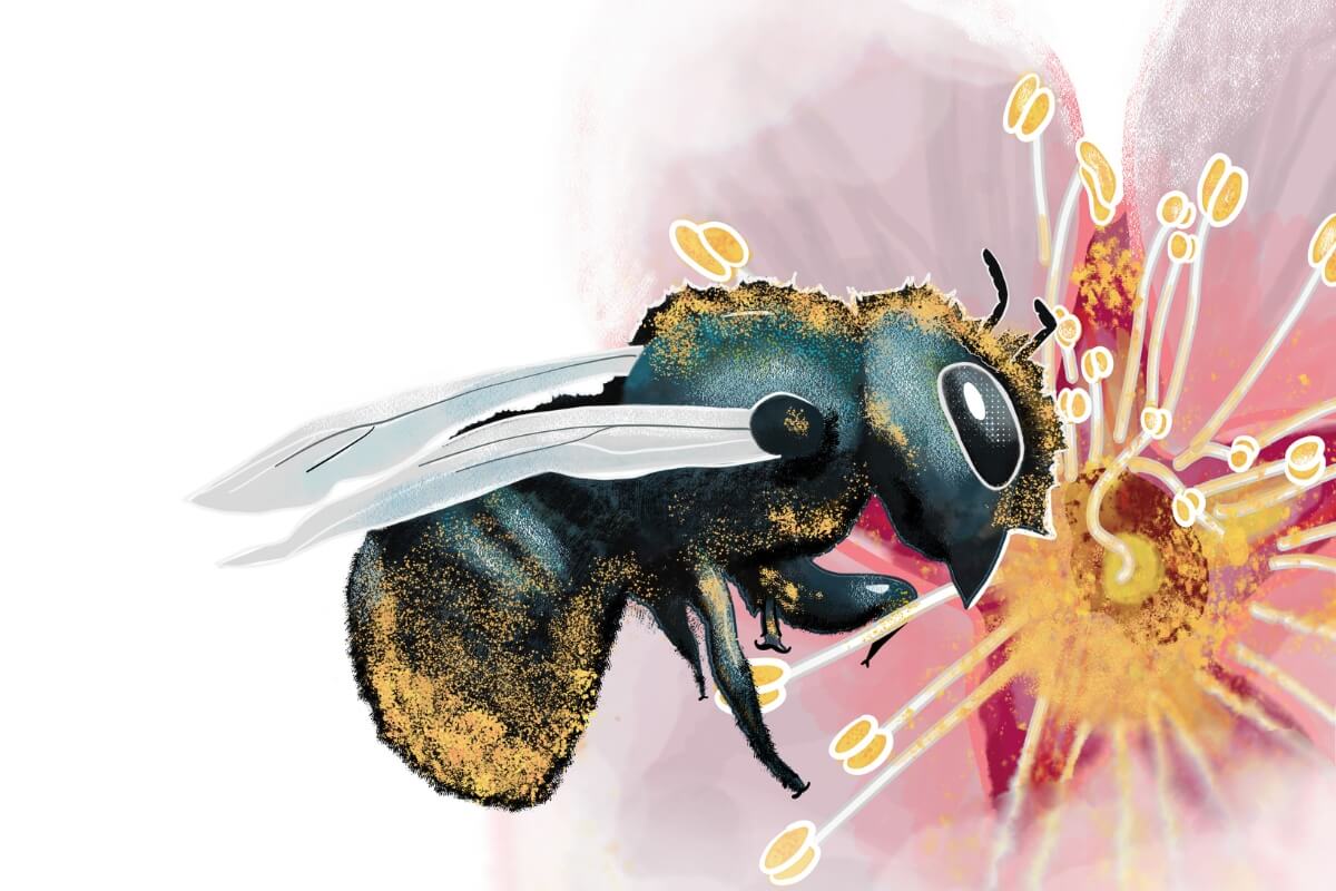 Photo of Emily Huffstetler's artwork