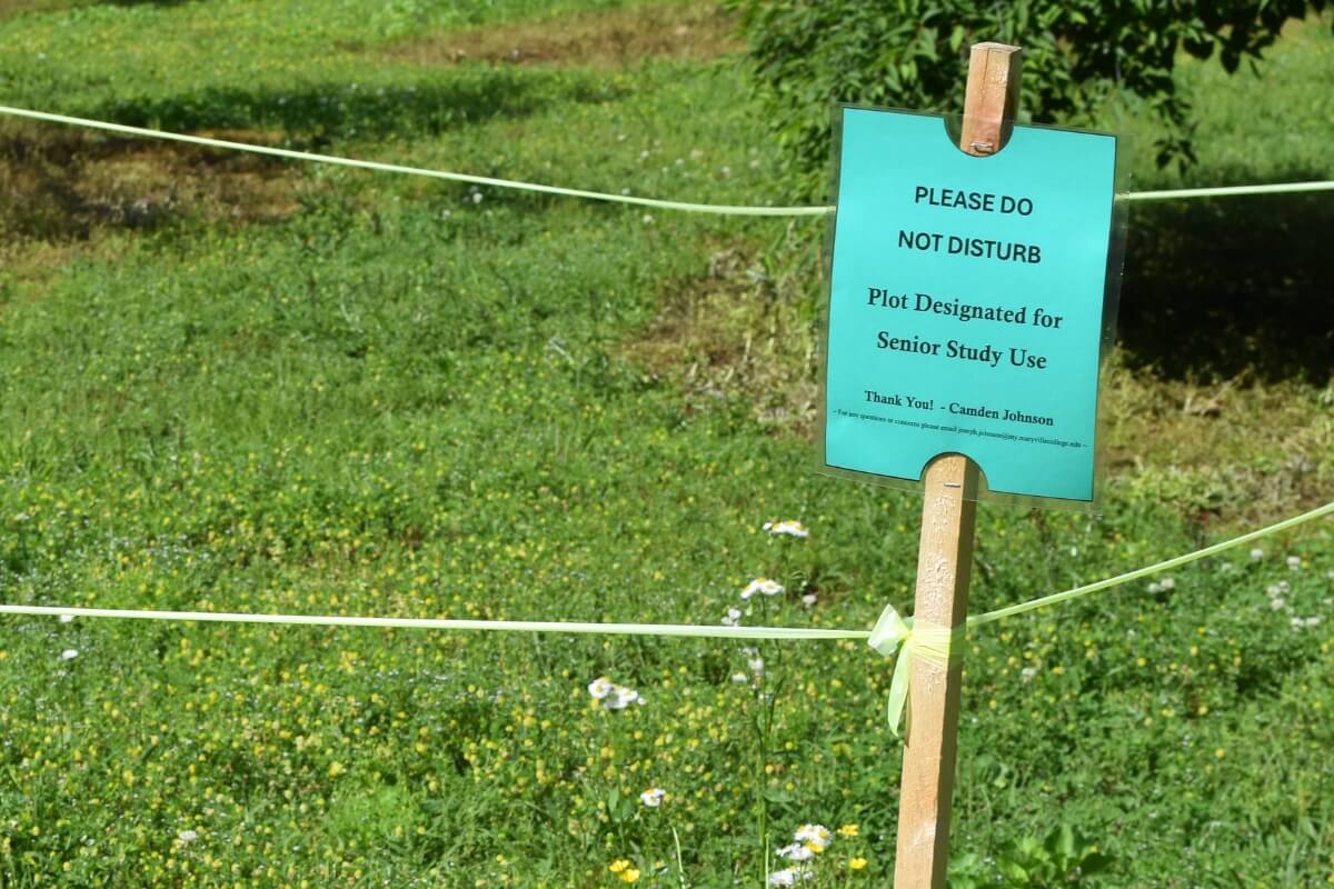 Photo of roped-off section of the MC Woods orchards