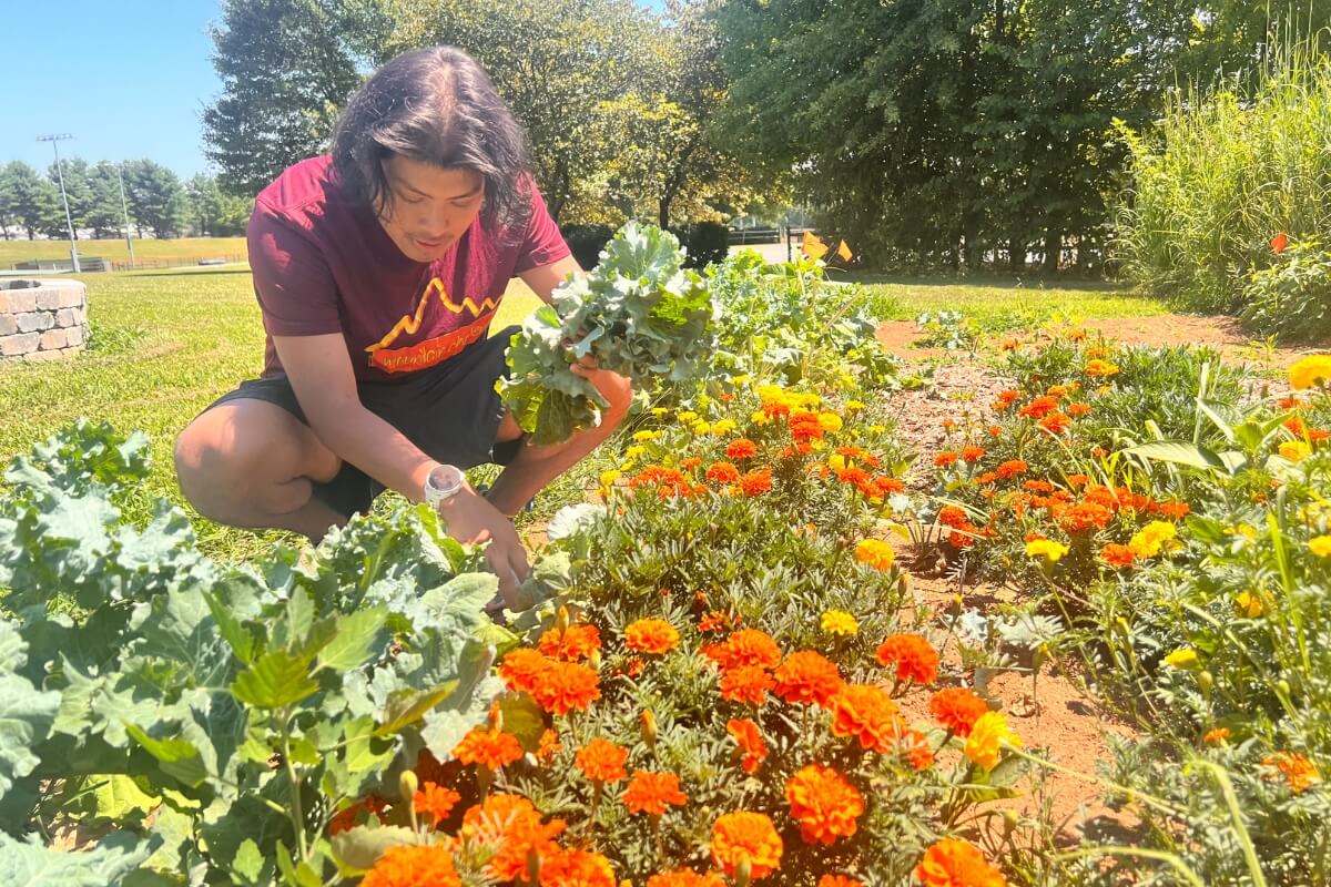 Photo of Jonathan Yost '26 looking at plants