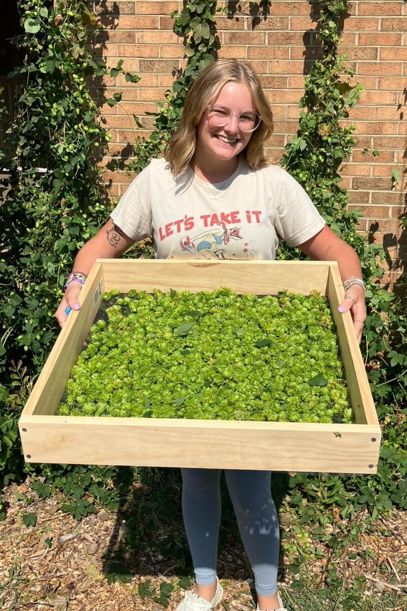 Photo of Maryville College Ledford Scholar Jaklyn Rutter '25 holding hops