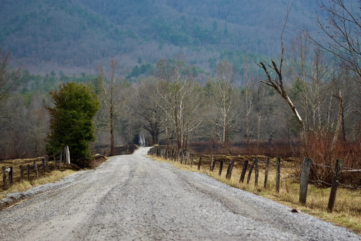 Photo of maryville college wildlife photography calendar now on sale 3