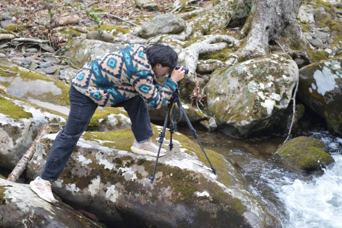 Photo of maryville college wildlife photography calendar now on sale 5