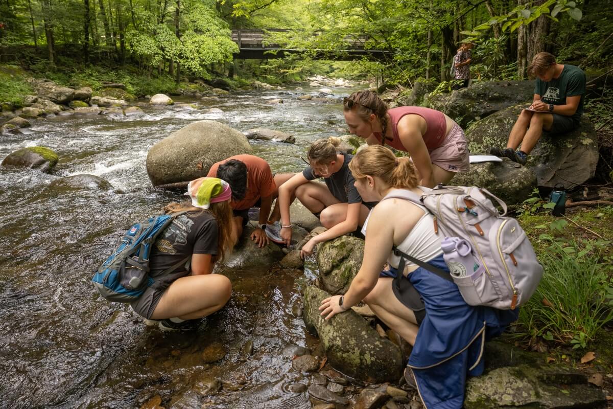 Photo of students kneeling by the side of a river in the mountains during the Great Smokies Experience. The 2026 GSE takes place July 9-20.