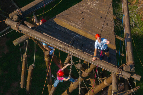 Photo of NSO 25 Alpine Tower